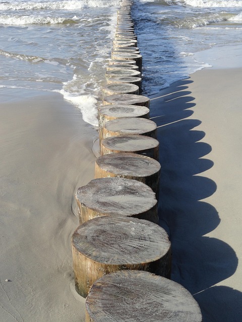 Wooden stepping stones on a beach