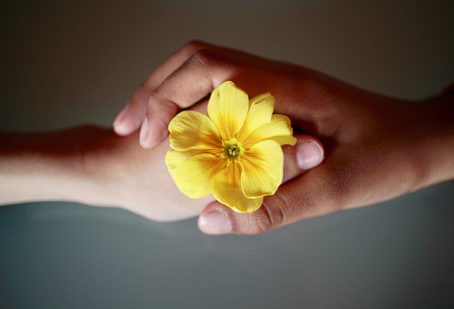 passing a flower from one hand to another