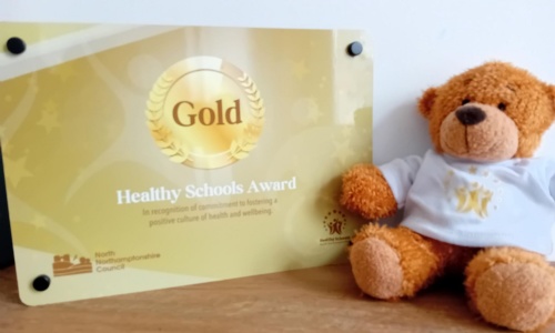 Picture of the Healthy Schools Gold plaque to go on the wall and a teddy bear with a healthy schools logo
